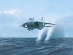 f 14 tomcat